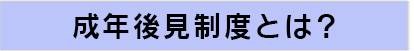 青年後見制度とは